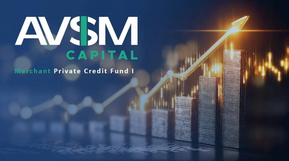 AVSM Capital I, Business / Other property 1