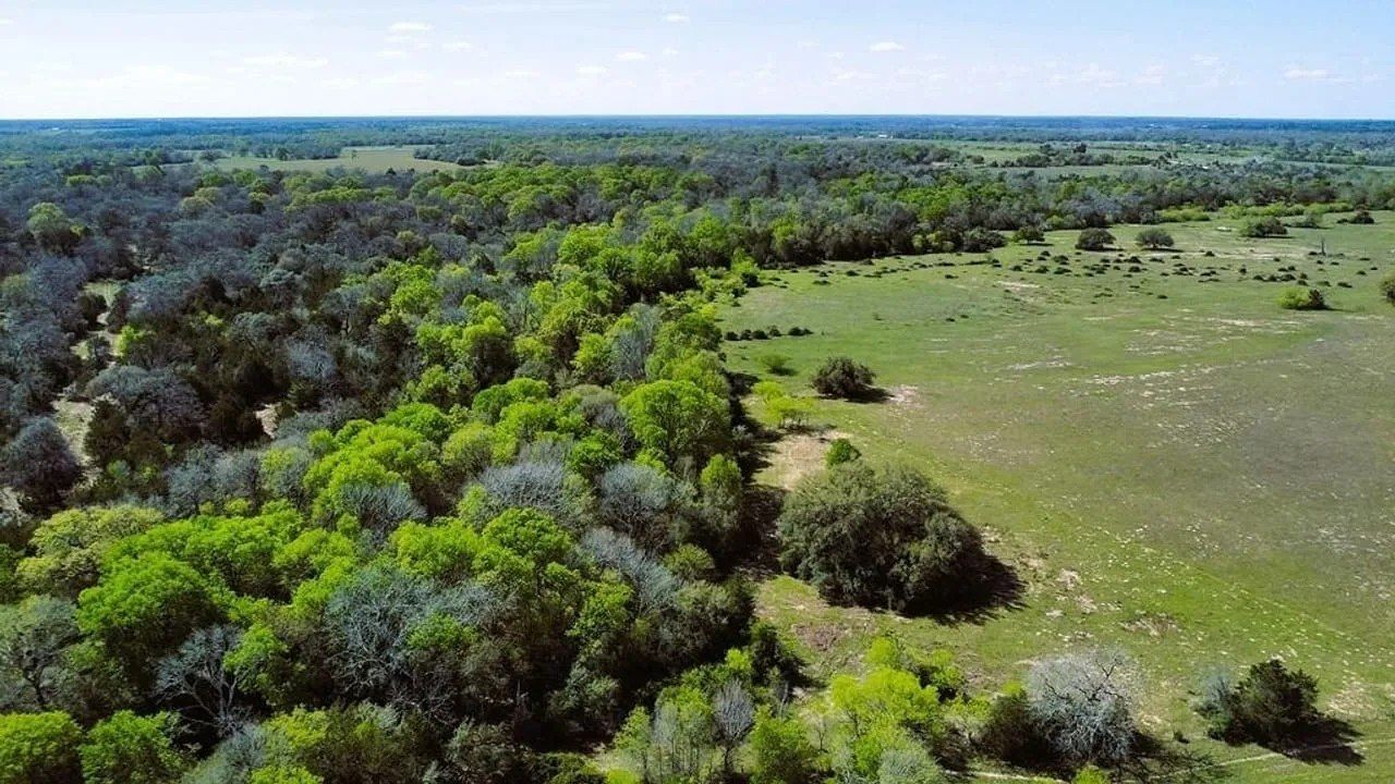 Lavaca County, TX Land Opportunity, Land property