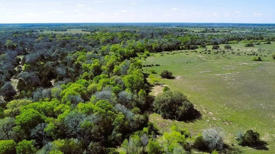 Lavaca County, TX Land Opportunity, Land property 2