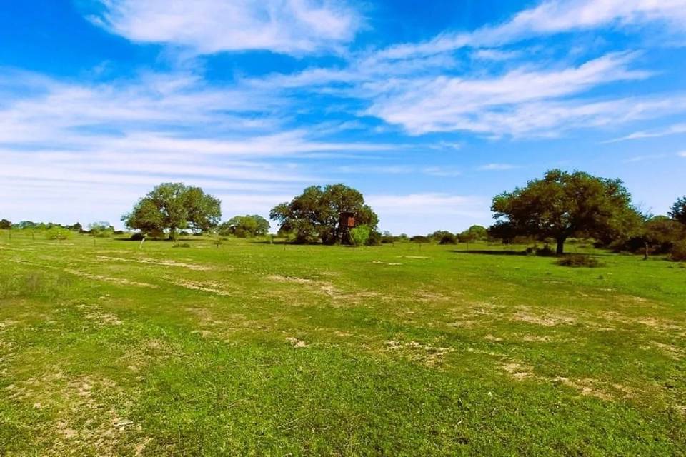 Lavaca County, TX Land Opportunity, Land property 5