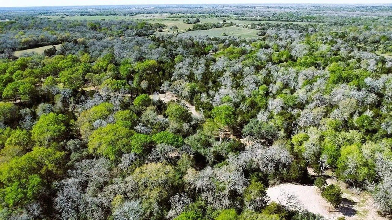 Lavaca County, TX Land Opportunity, Land property