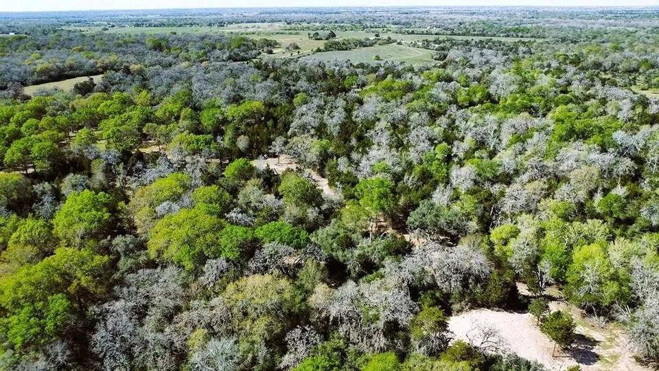 Lavaca County, TX Land Opportunity, Land property 3